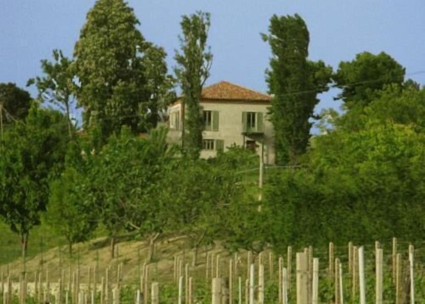 Piedmont Treiso Exterior Detail