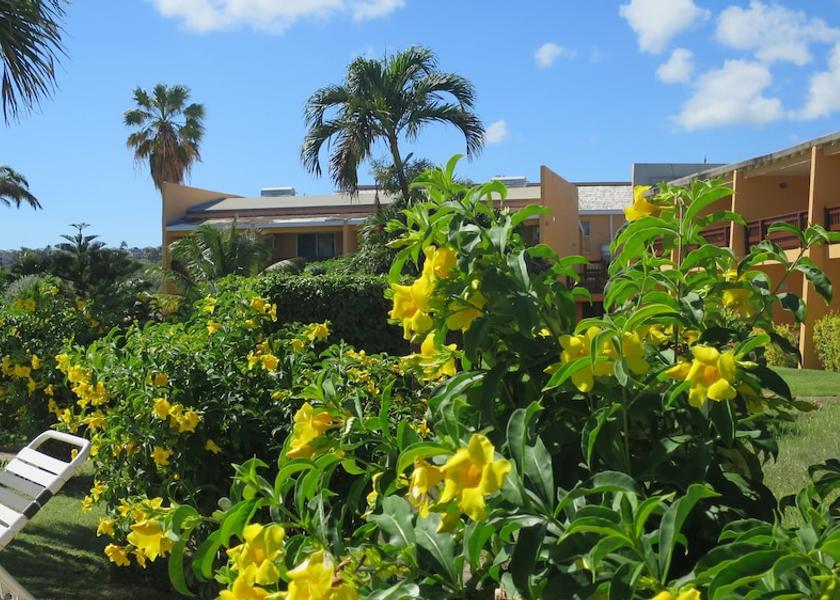  Basseterre Garden