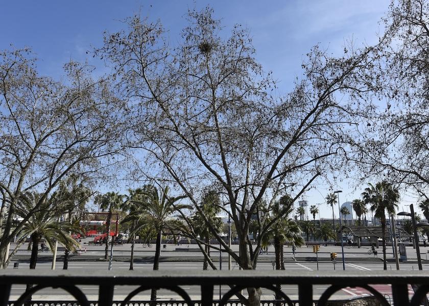Catalonia Barcelona Balcony view