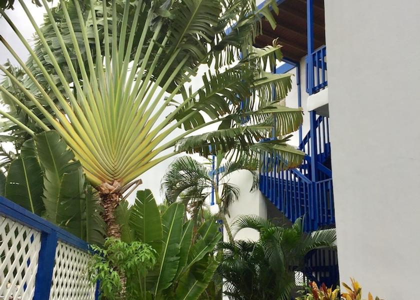 St. Croix Island Christiansted Garden