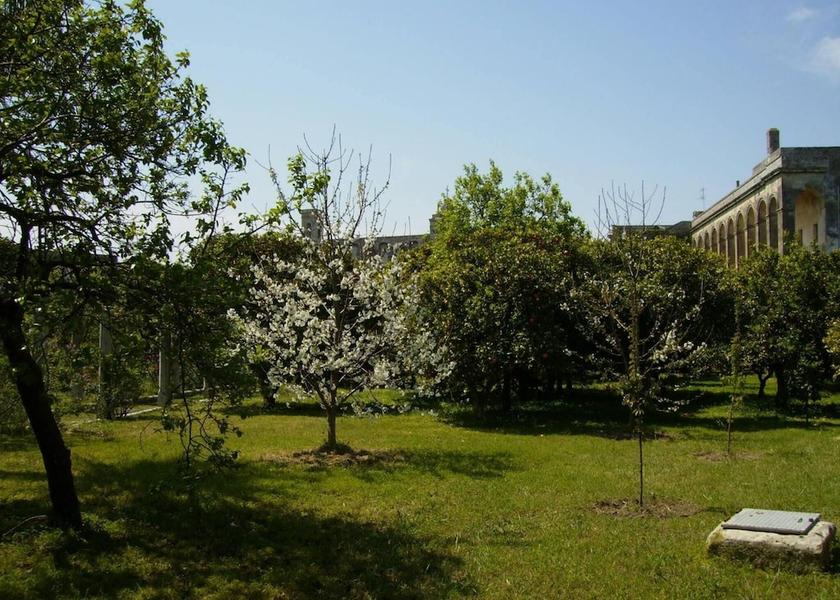 Puglia Bagnolo del Salento Property Grounds