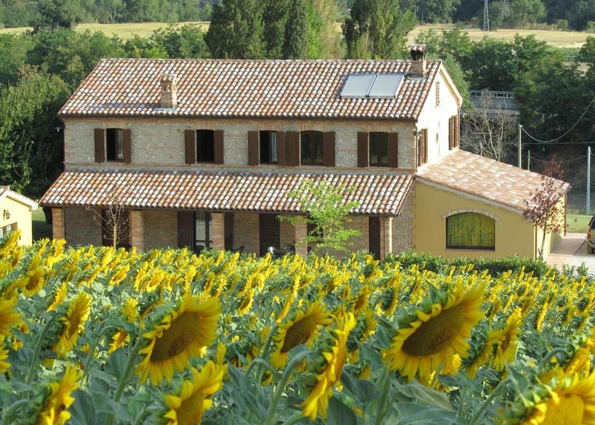 Marche Castelbellino Exterior