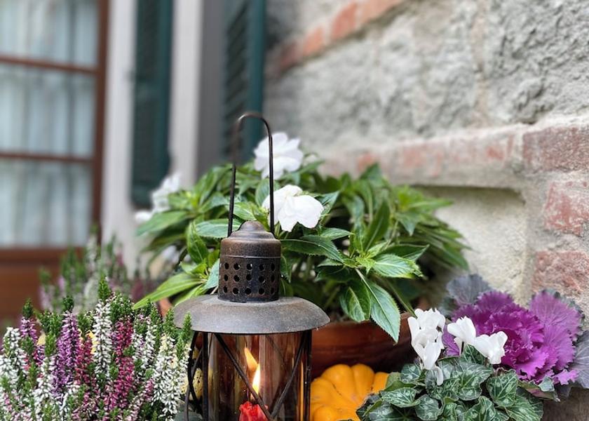 Piedmont Ozzano Monferrato Exterior Detail