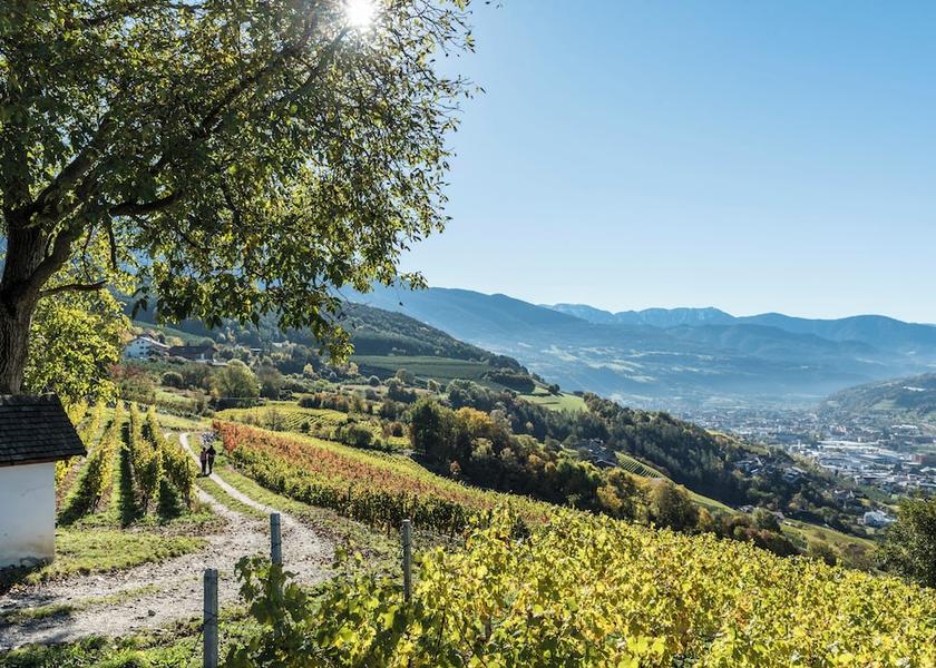 Trentino-Alto Adige Naz Sciaves Hiking