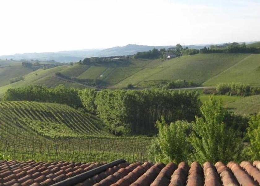 Piedmont Neive View from property