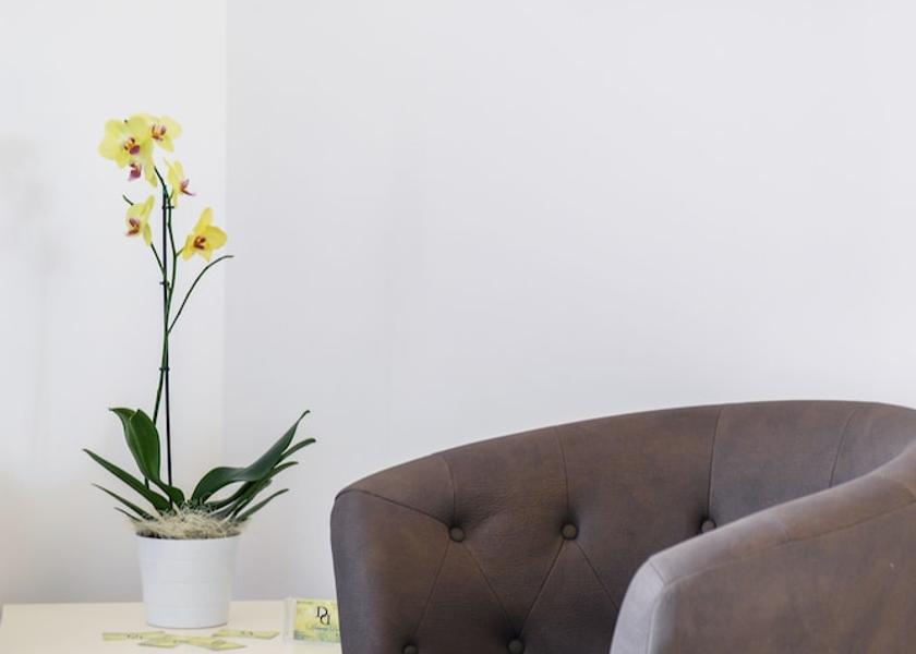 Basilicata Montescaglioso Interior Entrance