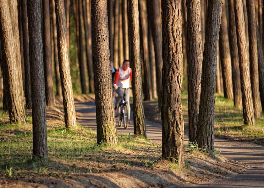 Harju County Tallinn Exterior Detail