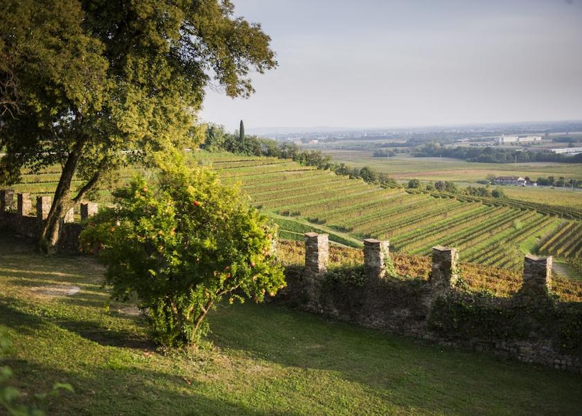 Friuli-Venezia Giulia Buttrio View from Property