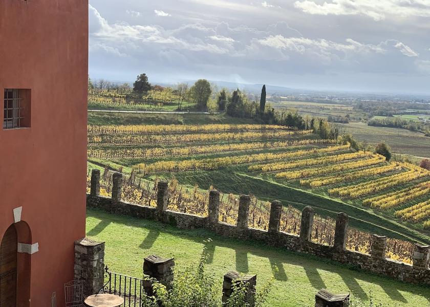 Friuli-Venezia Giulia Buttrio Garden View