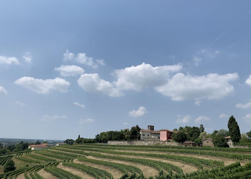 Friuli-Venezia Giulia Buttrio Garden View