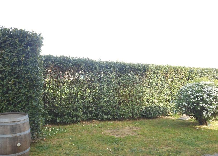 Tuscany Capannori Garden