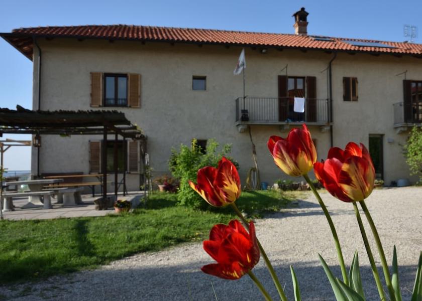 Piedmont Dogliani Primary image