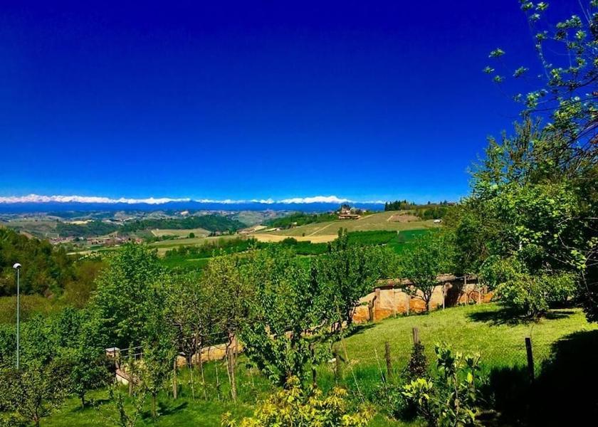 Piedmont Guarene Property grounds