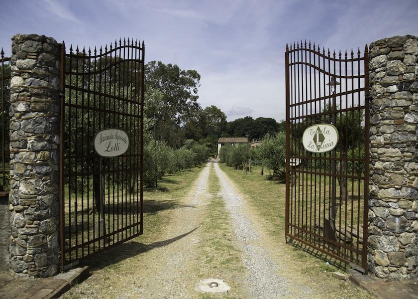 Liguria Sarzana Entrance