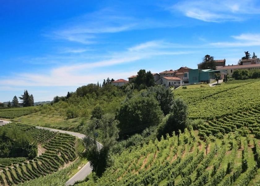 Piedmont Castiglione Tinella View from property