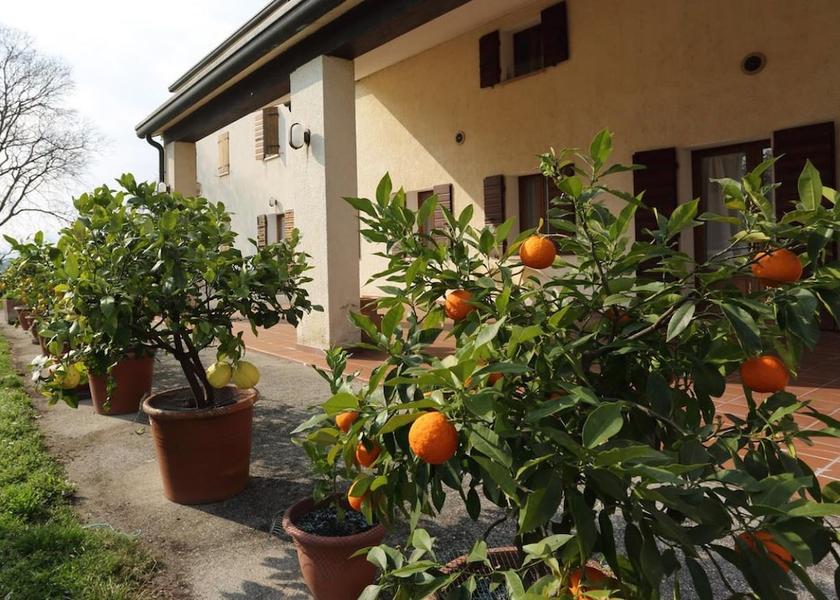 Veneto Mussolente Terrace