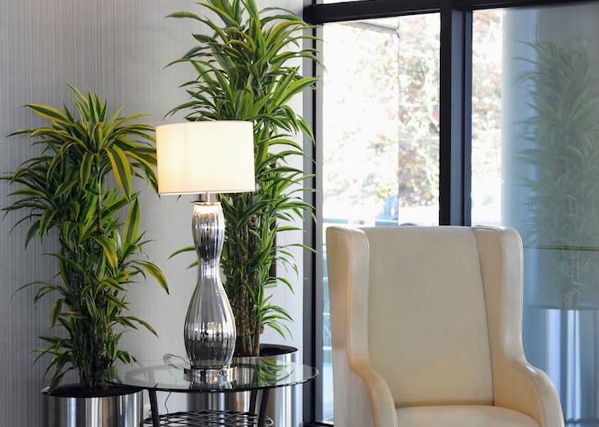 Madeira Funchal Lobby