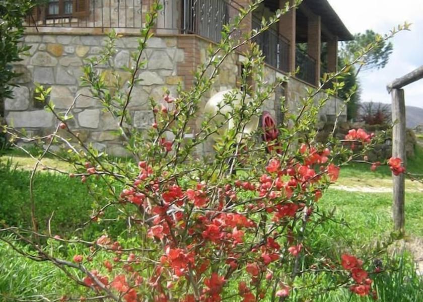 Tuscany Semproniano Property grounds