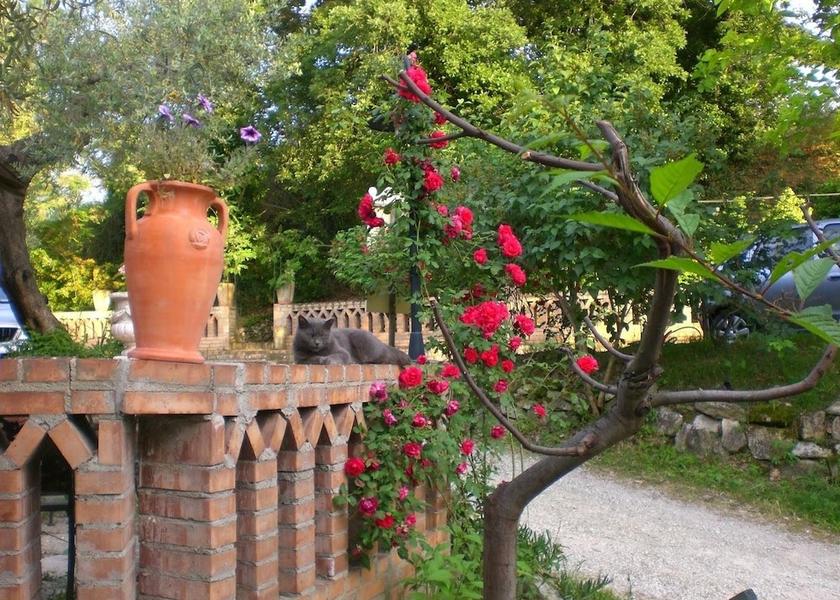 Abruzzo Chieti Exterior Detail