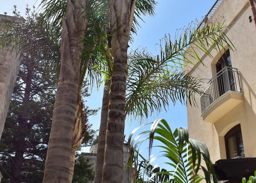 Sicily Favignana Garden