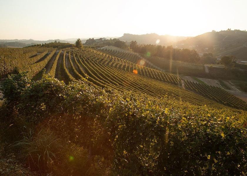 Piedmont Canale View from property