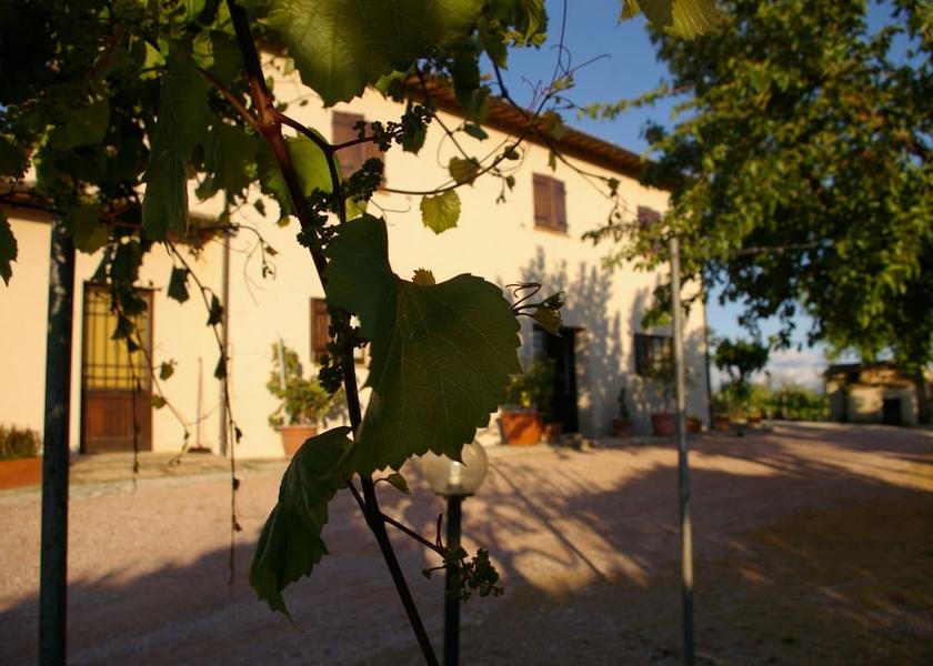 Umbria Montefalco View From Room