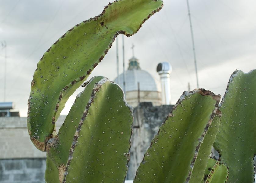 Puglia Massafra Exterior Detail