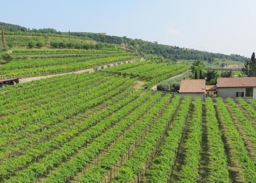 Veneto Fumane Property Grounds