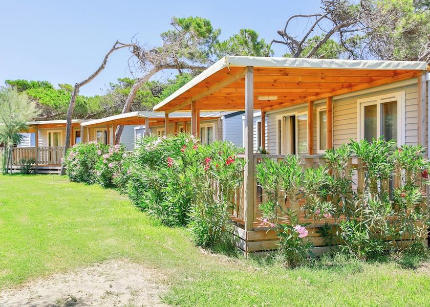 Lazio Montalto di Castro Terrace