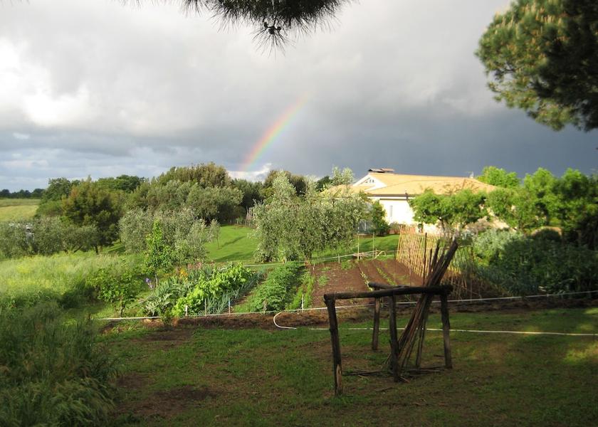 Lazio Cerveteri View from Property