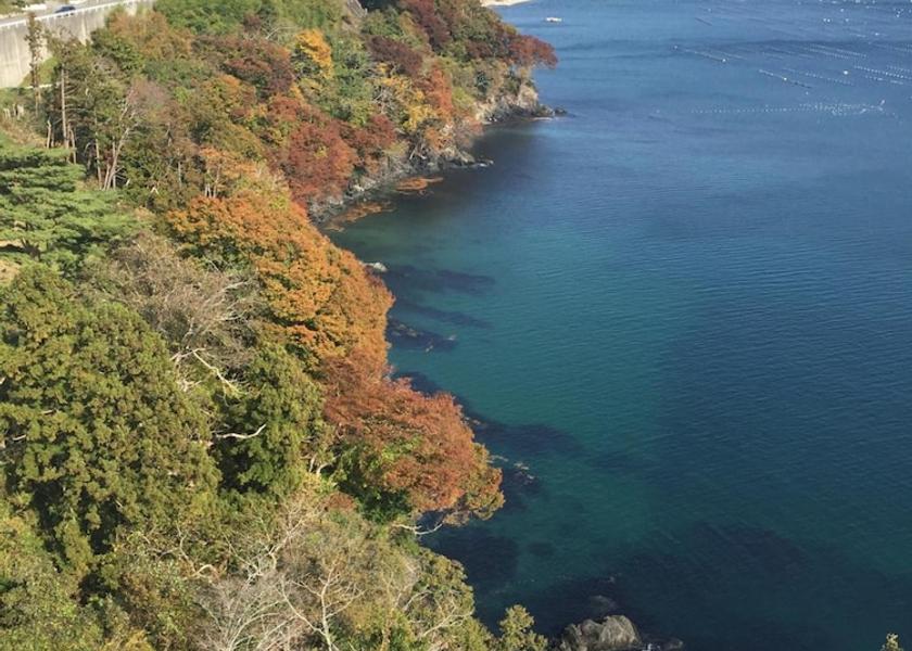 Iwate Ofunato Aerial view