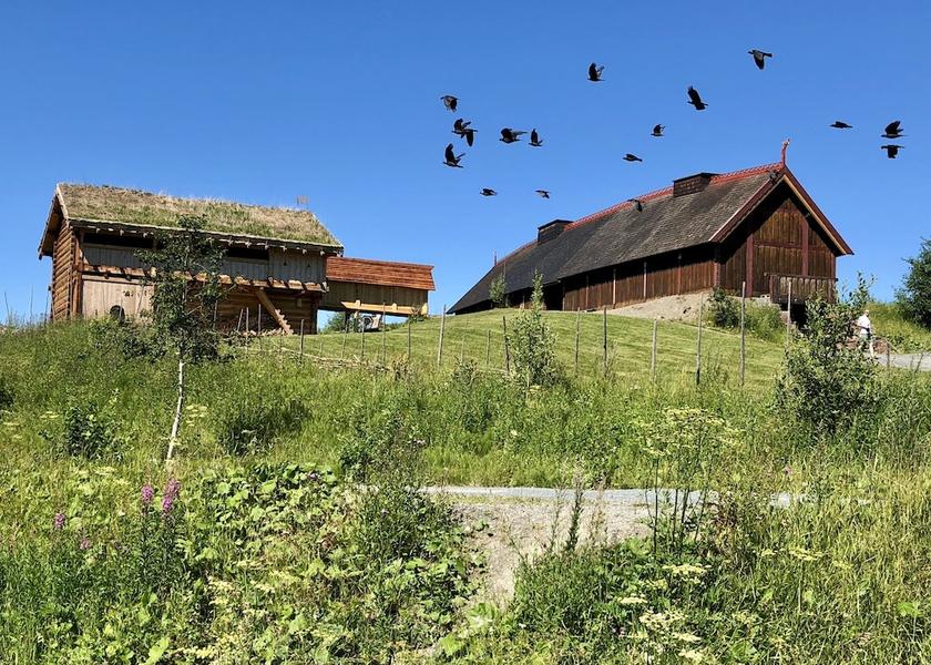 Nord-Trondelag (county) Verdal Garden