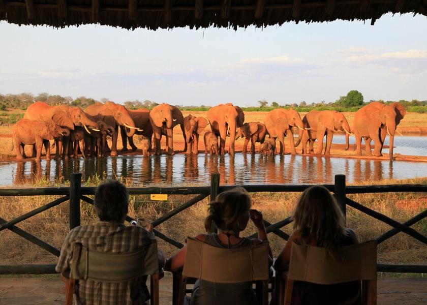  Voi View from Property