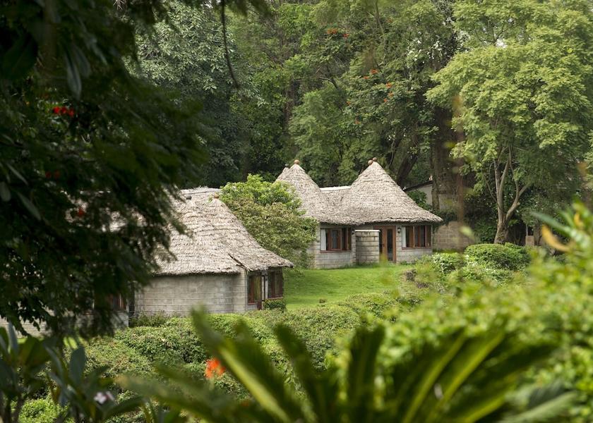  Arusha Exterior Detail