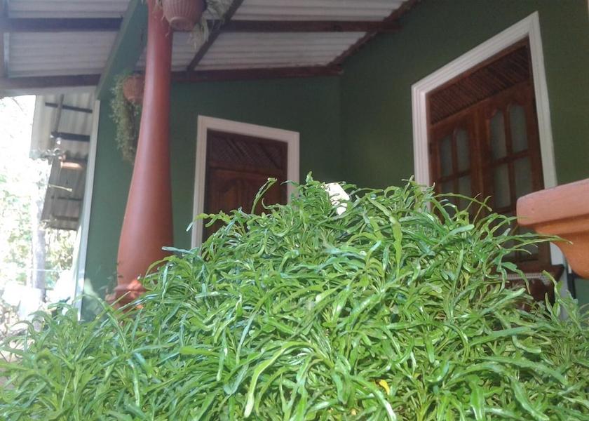 Central Province Sigiriya Exterior Detail