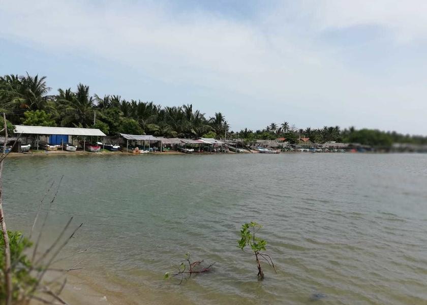 North Western Province Kandakuliya View from Property