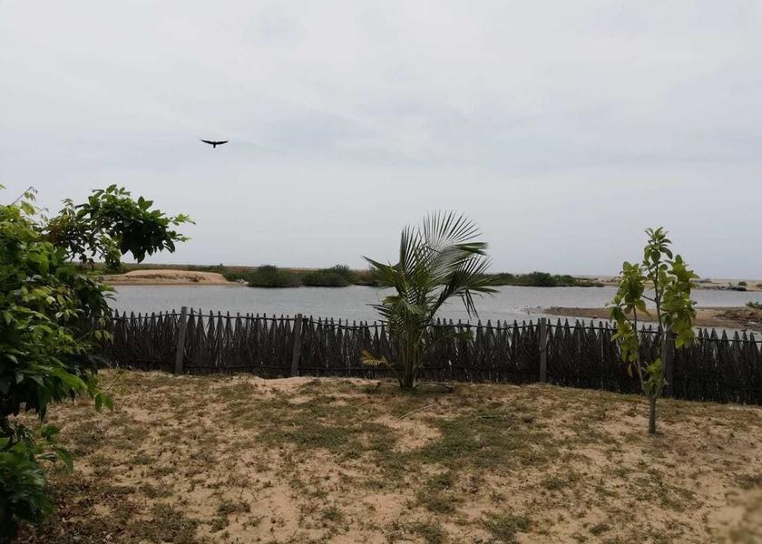 North Western Province Kandakuliya View from Property