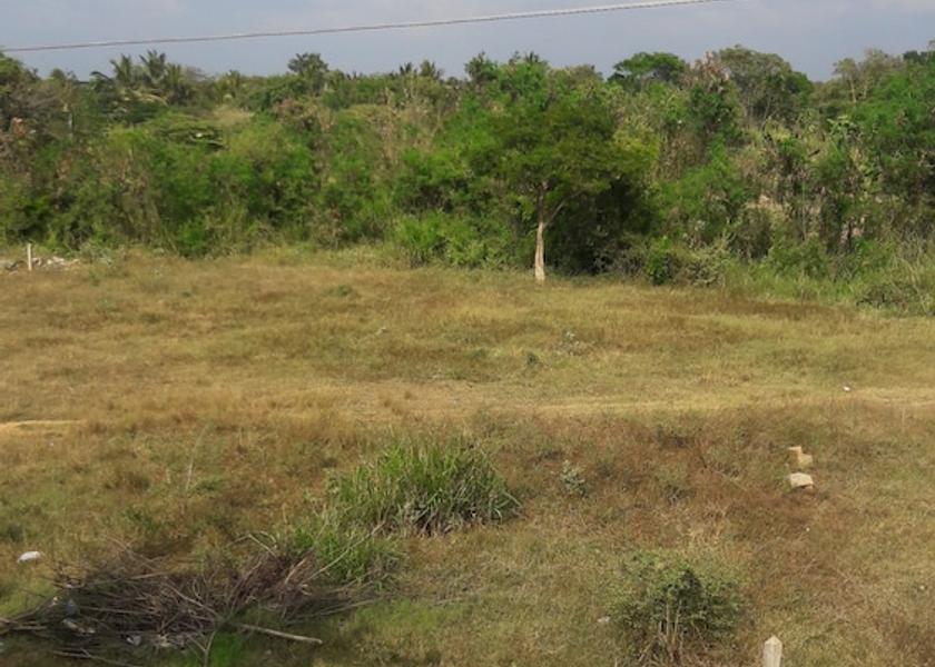 Central Province Dambulla View from Property