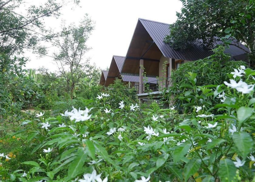 Sabaragamuwa Province Udawalawa Exterior Detail