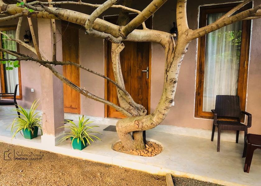 Sabaragamuwa Province Udawalawa Entrance