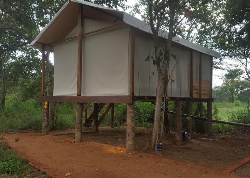 Central Province Sigiriya Exterior