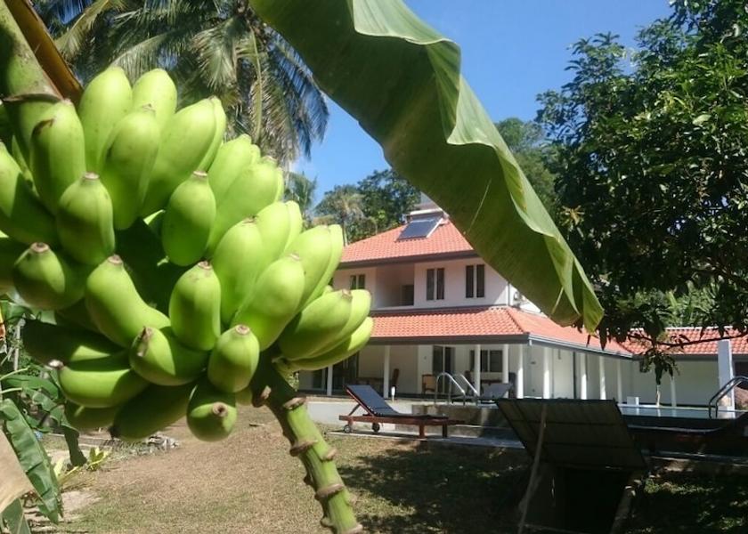Gampaha District Seeduwa - Katunayake View from Property