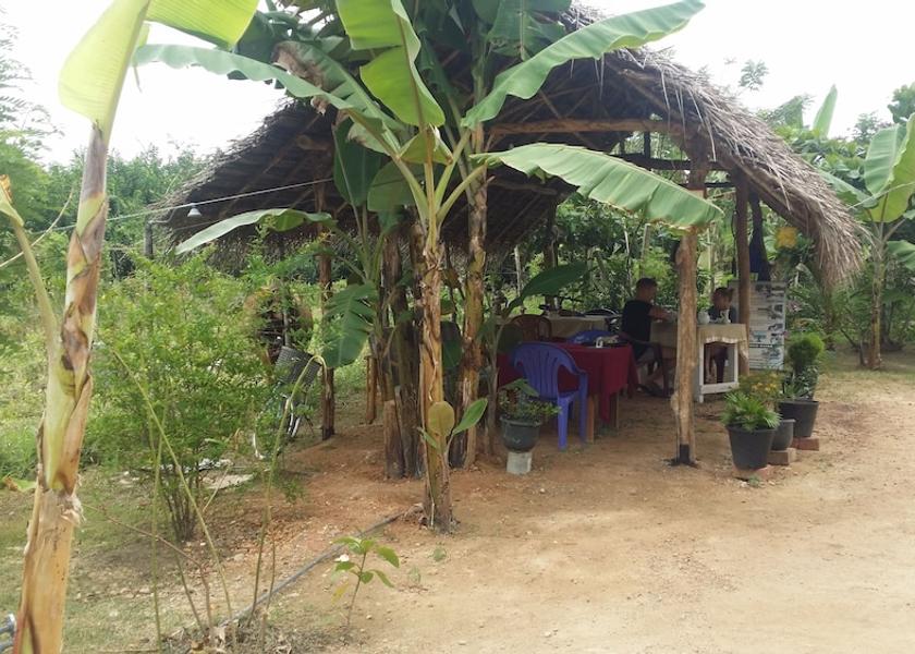 Matara District Mirissa Property Grounds