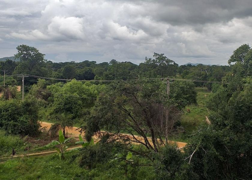 Central Province Avudangawa Mountain View