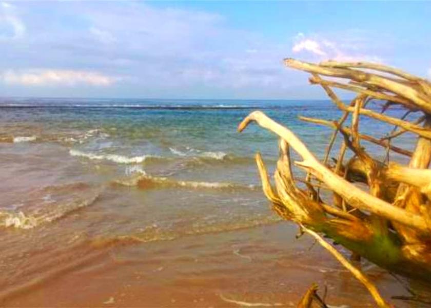 Western Province Beruwala View from Property