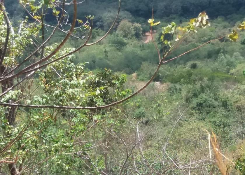 Central Province Madawala Property Grounds