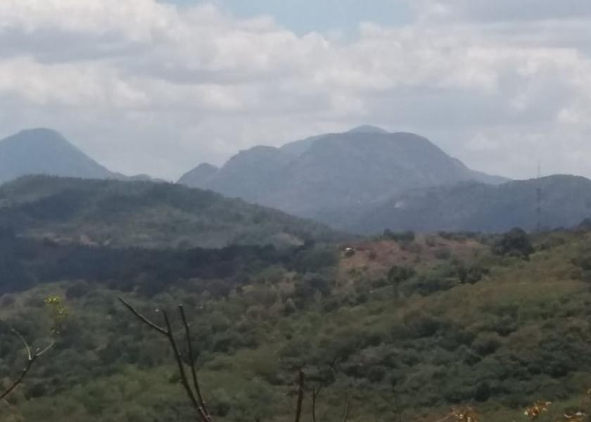 Central Province Madawala Primary image
