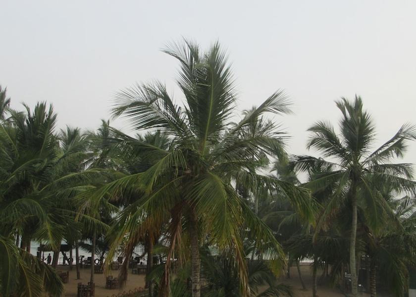 Southern Province Tangalle Property grounds