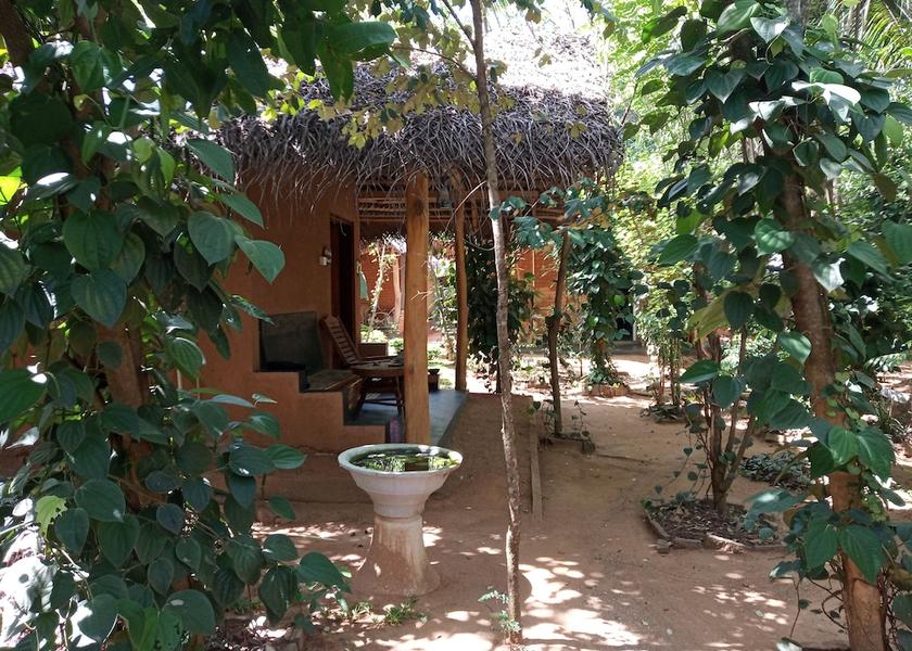 Sabaragamuwa Province Udawalawa Garden view