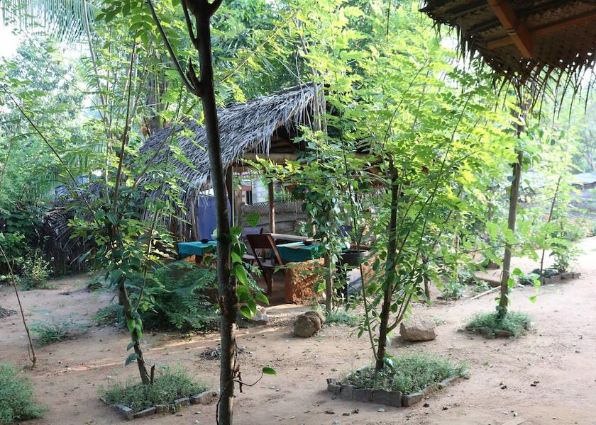 Sabaragamuwa Province Udawalawa Property amenity